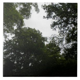 Creepy Forest Tile
