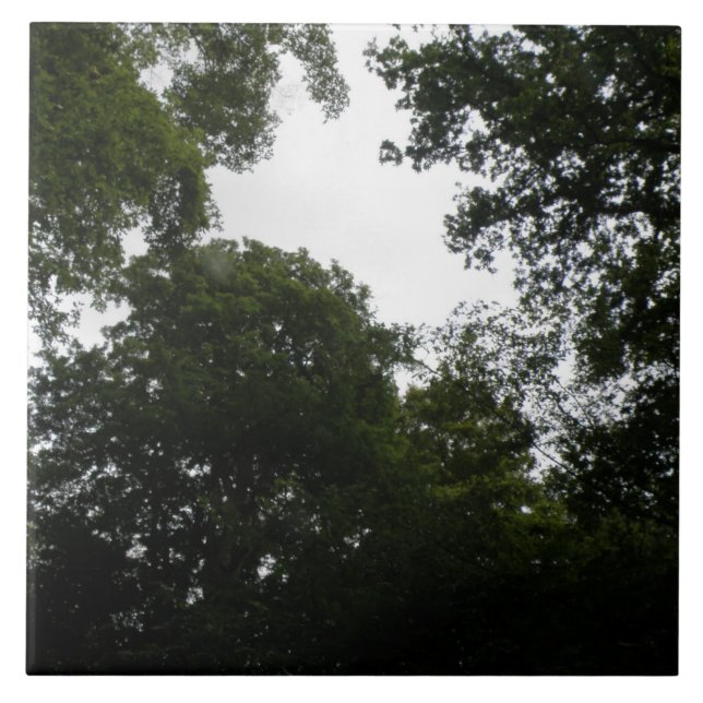 Creepy Forest Tile (Front)