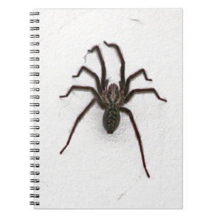 Creepy Spider Spiral Notebook
