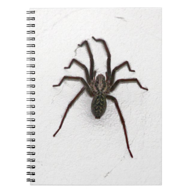 Creepy Spider Spiral Notebook (Front)