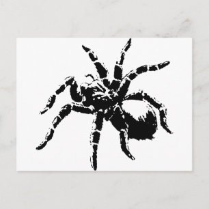 Creepy Tarantula Design Postcard
