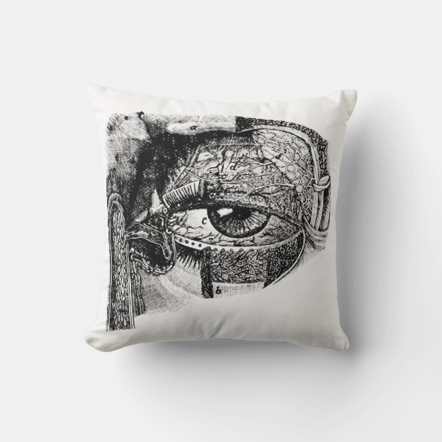 Creepy Vintage Eyeball Anatomy Diagram Cushion (Front)