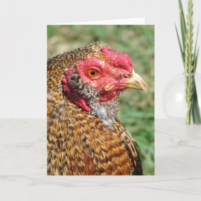 Creole Rooster All Occasions  Card (Front)