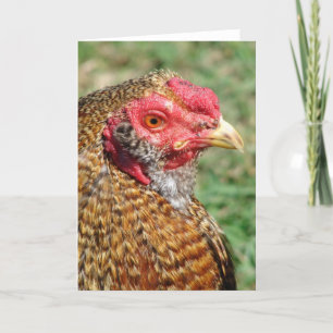Creole Rooster All Occasions  Card