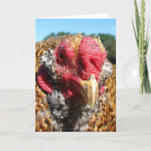 Creole Rooster Holiday Card