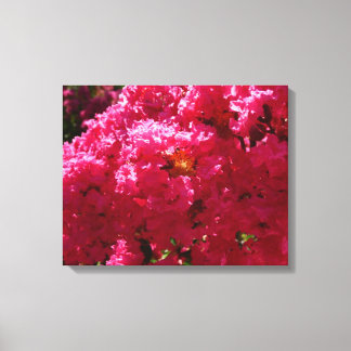 Crepe Myrtle Tree Magenta Floral Canvas Print