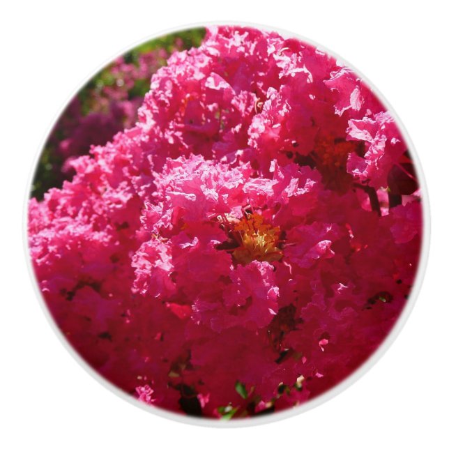 Crepe Myrtle Tree Magenta Floral Ceramic Knob (Front)
