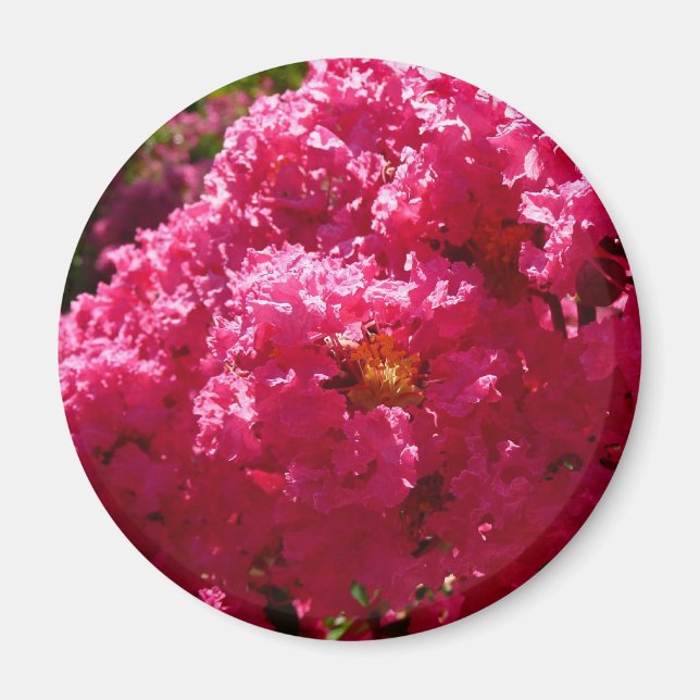 Crepe Myrtle Tree Magenta Floral Magnet (Front)