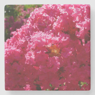 Crepe Myrtle Tree Magenta Floral Stone Coaster