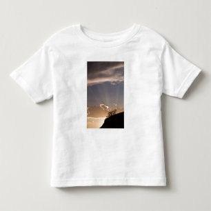 Crepuscular rays radiate across the sky at toddler T-Shirt