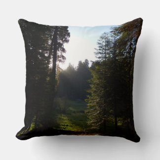 Crescent Meadow Morning at Sequoia National Park Cushion