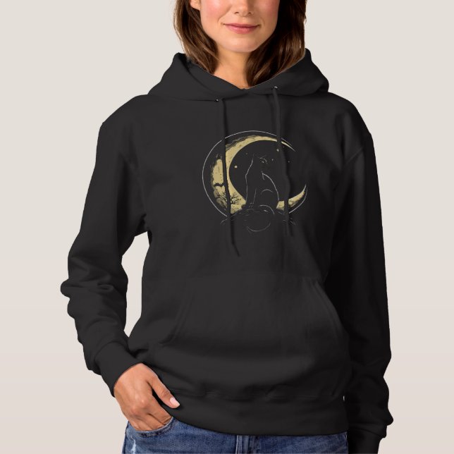 Crescent Moon Cat Kitten Astronomy Creepy Night Hoodie (Front)