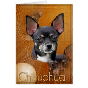 Crescent Moon - Isabella