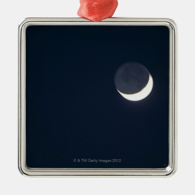Crescent Moon Metal Tree Decoration (Front)