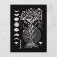 Crescent Tree Life Moon Phases Geometry Nature