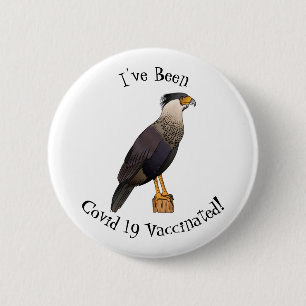 Crested caracara bird cartoon illustration  6 cm round badge