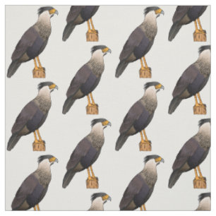 Crested caracara bird cartoon illustration fabric