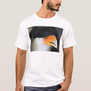 Crested caracara hawk head shot picture photo T-Shirt