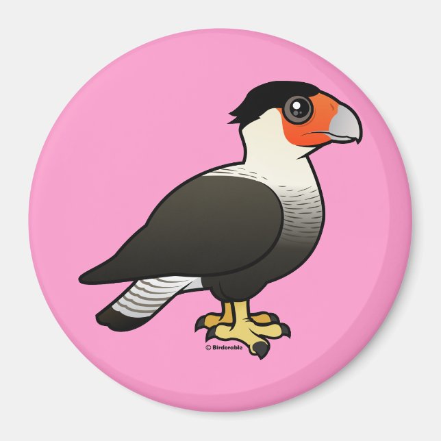 Crested Caracara Magnet (Front)