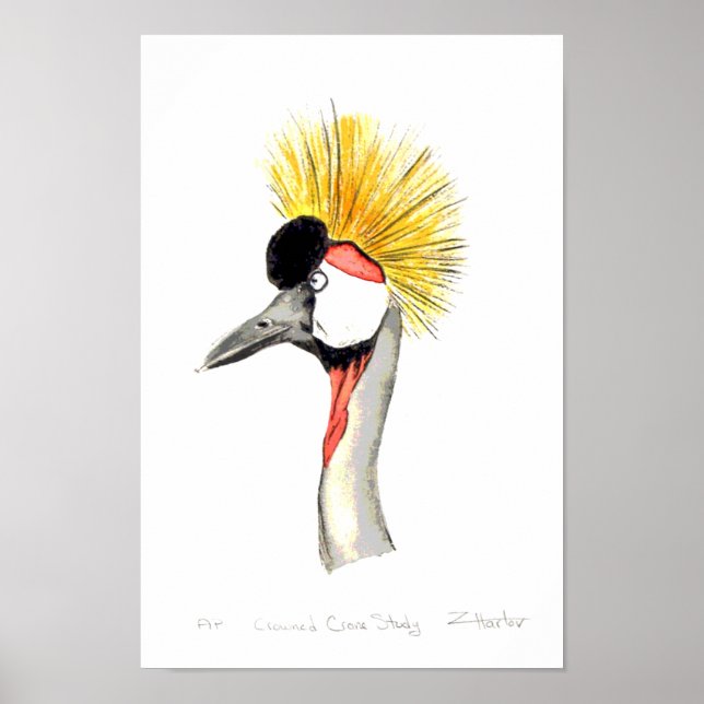 Crested Crane Poster (Front)