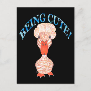 CRESTED DUCK BEING CUTE HOLIDAY POSTCARD