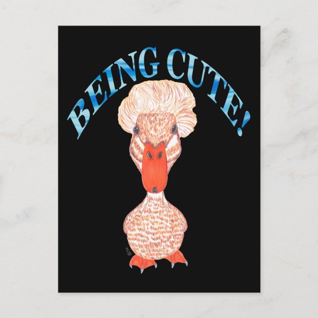 CRESTED DUCK BEING CUTE HOLIDAY POSTCARD (Front)
