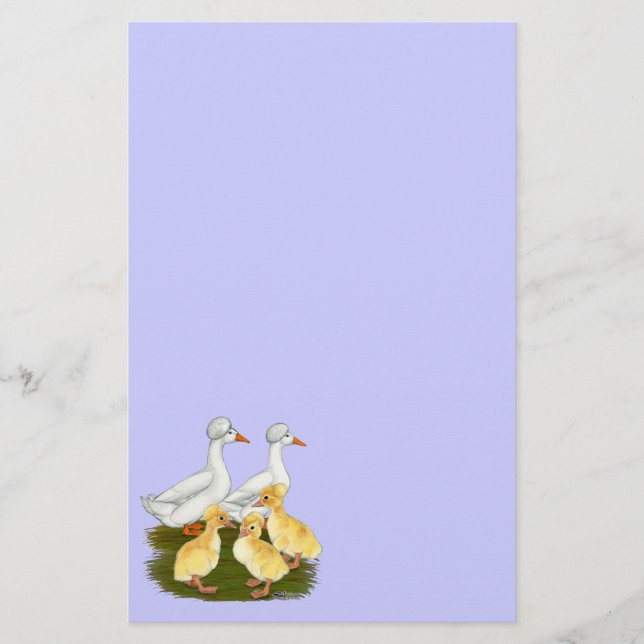 Crested Duck Family (Front)