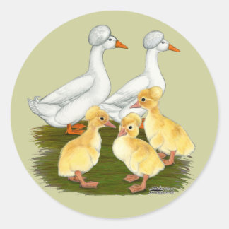 Crested Duck Family Classic Round Sticker