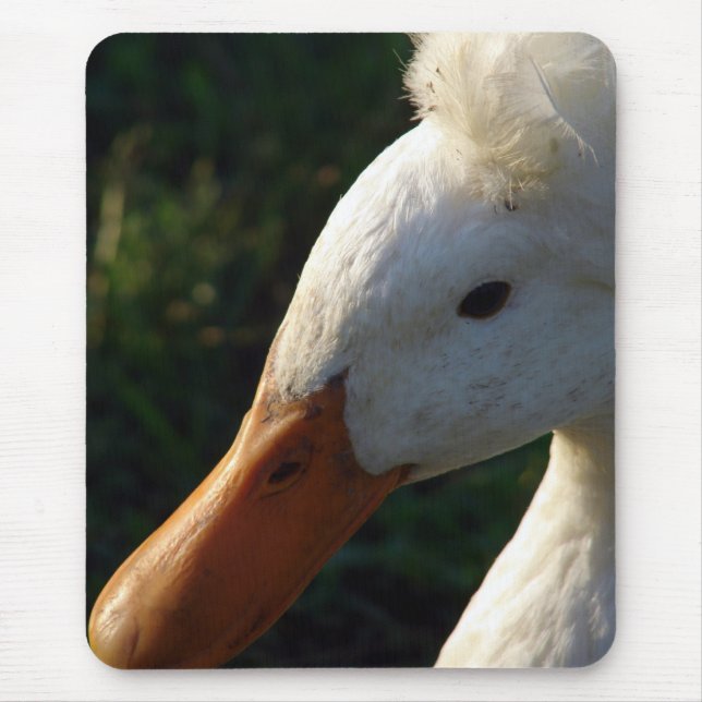 Crested Duck Mouse Pad (Front)