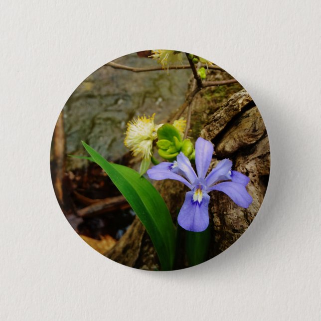 Crested Dwarf Iris blue purple white flower 6 Cm Round Badge (Front)