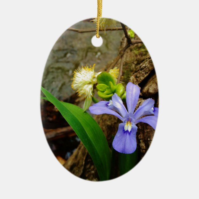 Crested Dwarf Iris blue purple white flower Ceramic Tree Decoration (Front)