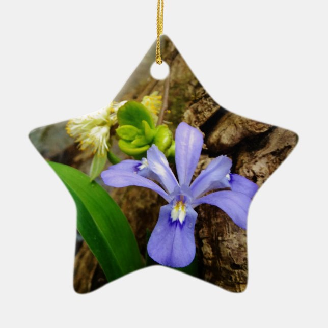 Crested Dwarf Iris blue purple white flower Ceramic Tree Decoration (Front)