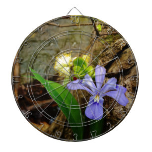 Crested Dwarf Iris blue purple white flower Dartboard