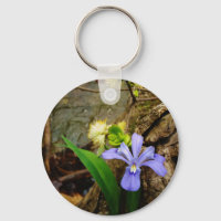 Crested Dwarf Iris blue purple white flower