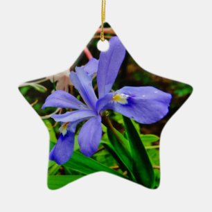 Crested Dwarf Iris Ceramic Tree Decoration