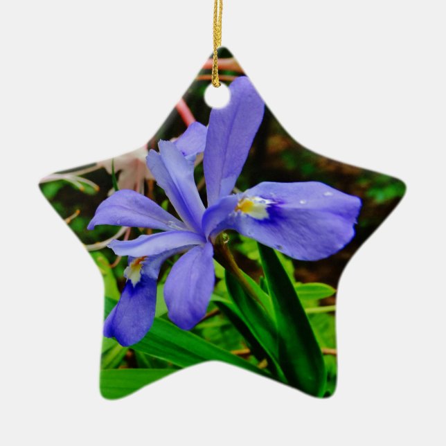 Crested Dwarf Iris Ceramic Tree Decoration (Front)