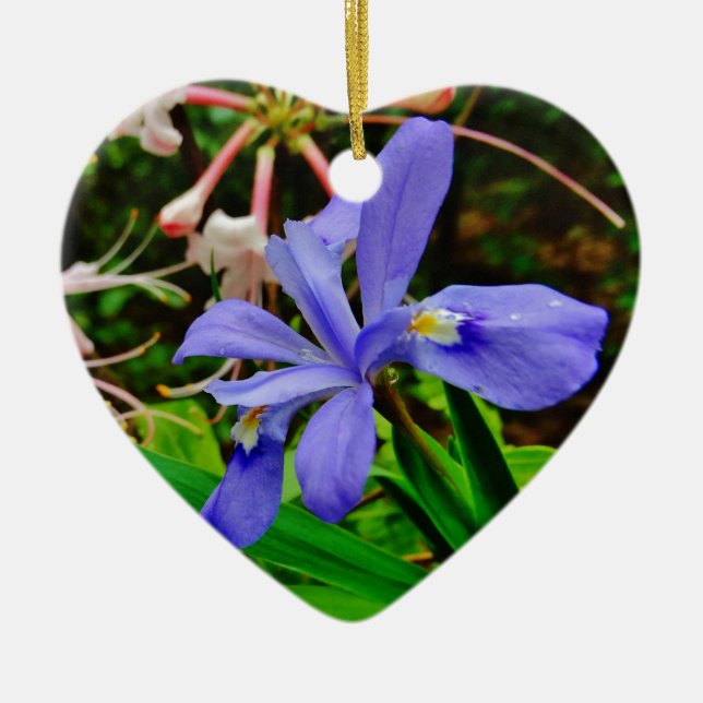 Crested Dwarf Iris Ceramic Tree Decoration (Front)