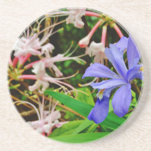 Crested Dwarf Iris Coaster