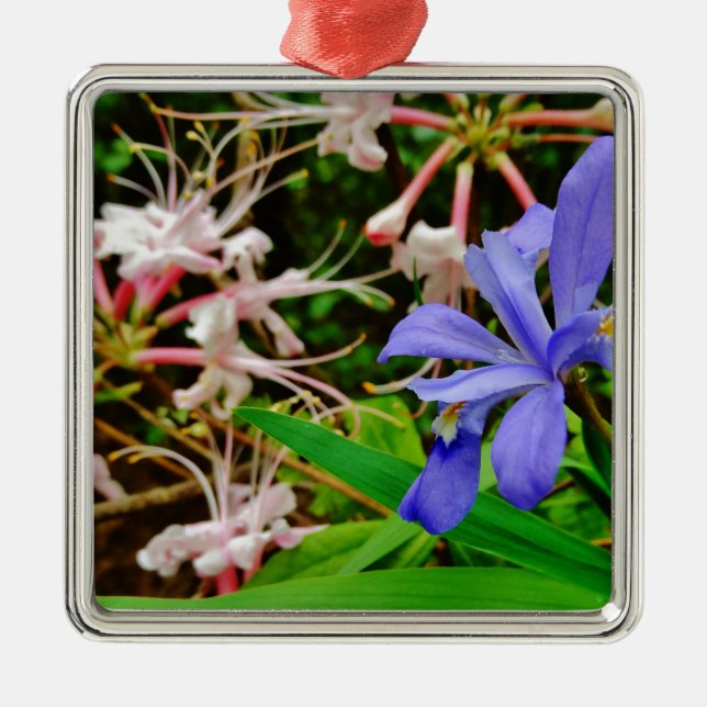 Crested Dwarf Iris Metal Tree Decoration (Front)