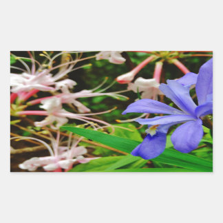 Crested Dwarf Iris Rectangular Sticker