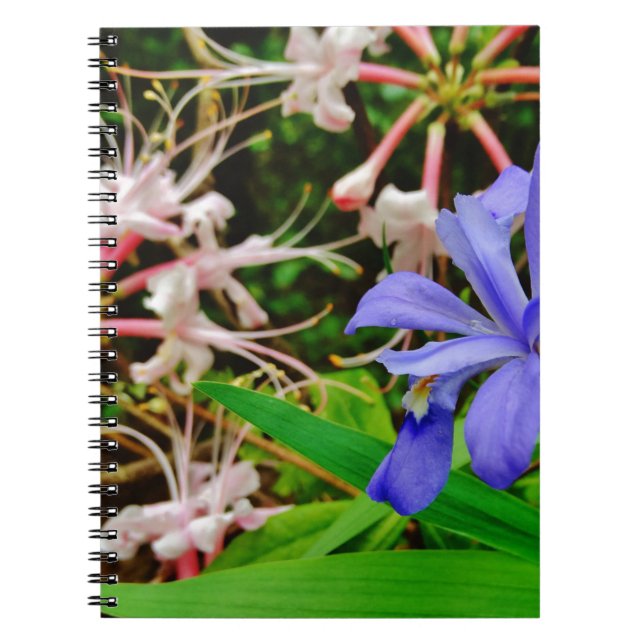 Crested Dwarf Iris Spiral Notebook (Front)