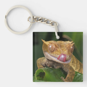Crested Gecko Key Ring