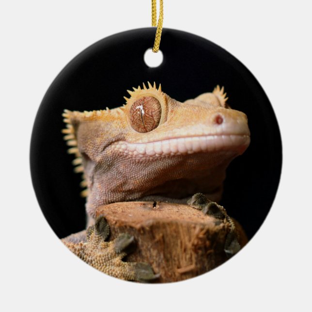 Crested Gecko Lizard on black Ceramic Ornament (Front)
