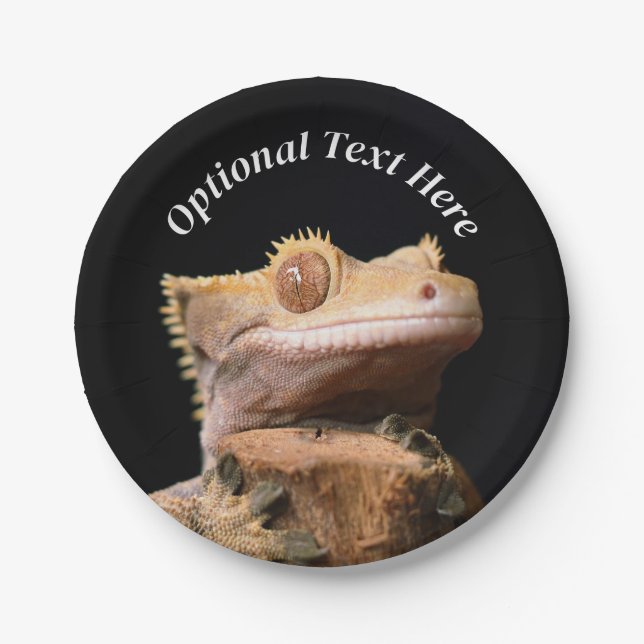 Crested Gecko Lizard on black Paper Plate (Front)