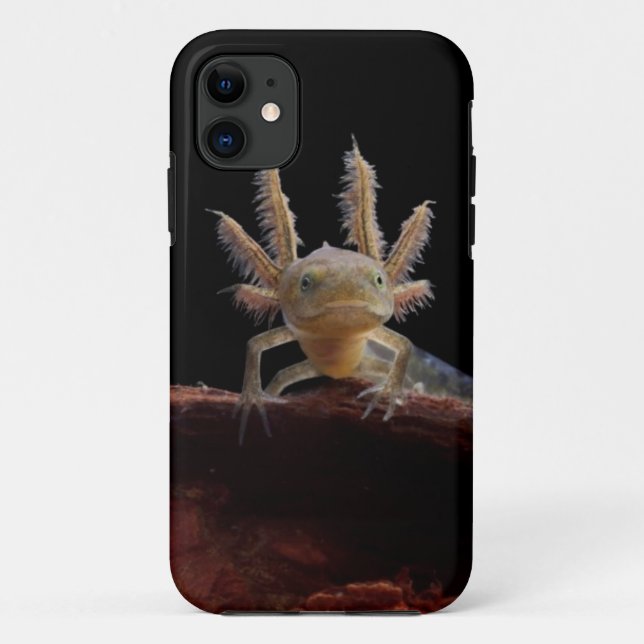Crested newt larve Case-Mate iPhone case (Back)