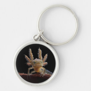 Crested newt larve key ring