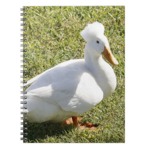 Crested Pekin Duck Spiral Photo Notebook