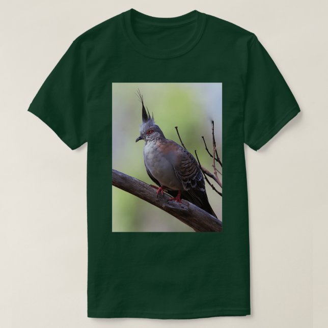 Crested pigeon 15 T-Shirt (Design Front)
