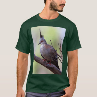 Crested pigeon 15 T-Shirt