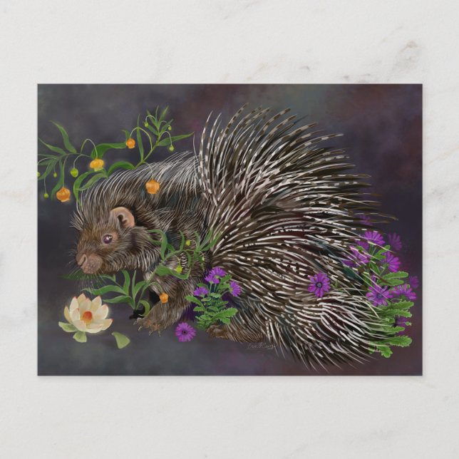 Crested Porcupine Bouquet  Nature Art Postcard (Front)